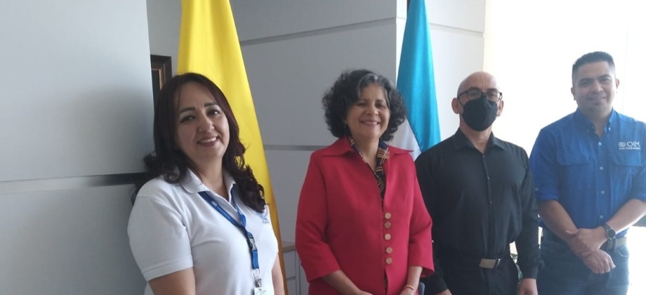 Reunión con la OIM/ONU sobre migración irregular